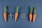Carrots and children mathematics