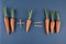 Carrots and children mathematics