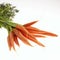 CARROTS daucus carota AGAINST WHITE BACKGROUND