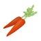 Carrots with foliage . Easter single icon in cartoon style vector symbol stock illustration.