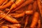 Carrots - Garden vegetables - healthy food