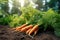 Carrots on the Ground, Generative AI