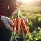 carrots in the hands of a girl, young juicy carrots on a bed in the garden. Generative AI