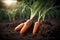 Carrots harvesting created with generative AI