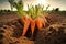 Carrots harvesting created with generative AI