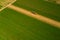 Carrots harvesting with a truck and a worker. Aerial view over the field