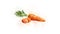 Carrots image animation