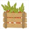 Carrots with leaves in wooden rustic basket vector