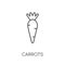 Carrots linear icon. Modern outline Carrots logo concept on whit