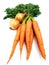 Carrots & onions vegetables