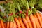 Carrots for sale in store