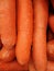 Carrots for sales