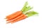 Carrots vegetable bunch