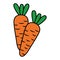 carrots vegetable fresh