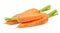 Carrots on white background