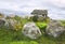 Carrowmore megalithic cemetery