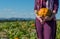 Carrying an Orange Bumpy Pumpkin