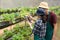 Carrying out Inspection at Greenhouse