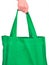 Carrying Reusable Green Bag