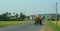 Carrying straw to home in Phu Yen, Vietnam