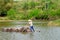 Carrying sugarcane by a bamboo raft