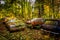 Cars and autumn colors in a junkyard.