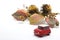 Cars, autumn leaves, and chestnut on white background.