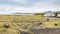 cars at coast near Reynisfjara Beach in autumn