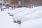 Cars completely covered with snow on parking.