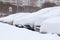 Cars completely covered with snow on parking.