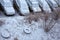 Cars, completely covered with wet first snow, in a parking lot in a residential area