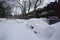 Cars cover of snow on Melrose Street