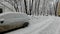 Cars covered with snow