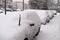 Cars covered with snow on a parking lot