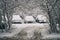 Cars covered with snow on the parking after a snowfall