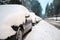 Cars cowered with snow