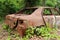 Cars damaged in fire on junkyard. An Old Car Covered in Vines and Pinestraw