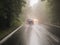 Cars driving on a wet road through woodland