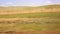 cars going vast grassland of mongolia