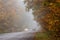 A cars with headlights on a foggy autumn road