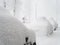 Cars heavily covered with snow are parked outside on a foggy day during a snowfall