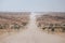 Cars kick up dust on the C35 gravel road in Tsiseb region, Namibia, Africa