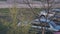 Cars parked in the yard under the trees in spring