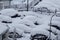 Cars on parking and street covered with big snow layer. View of winter and snowing on city street with snowflakes.