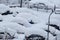 Cars on parking and street covered with big snow layer. View of winter and snowing on city street with snowflakes.