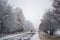 Cars ride on a road in winter