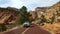 Cars on roadway through Zion Canyon, Utah
