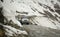 Cars on the snow road in Khardungla, India