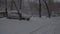 Cars in the snow in winter in Russia Far Est