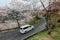 Cars traveling on a curvy mountain highway winding up the hill of sakura cherry blossom trees in Miyasumi Park